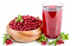 Морс Клюквенный 0,5
