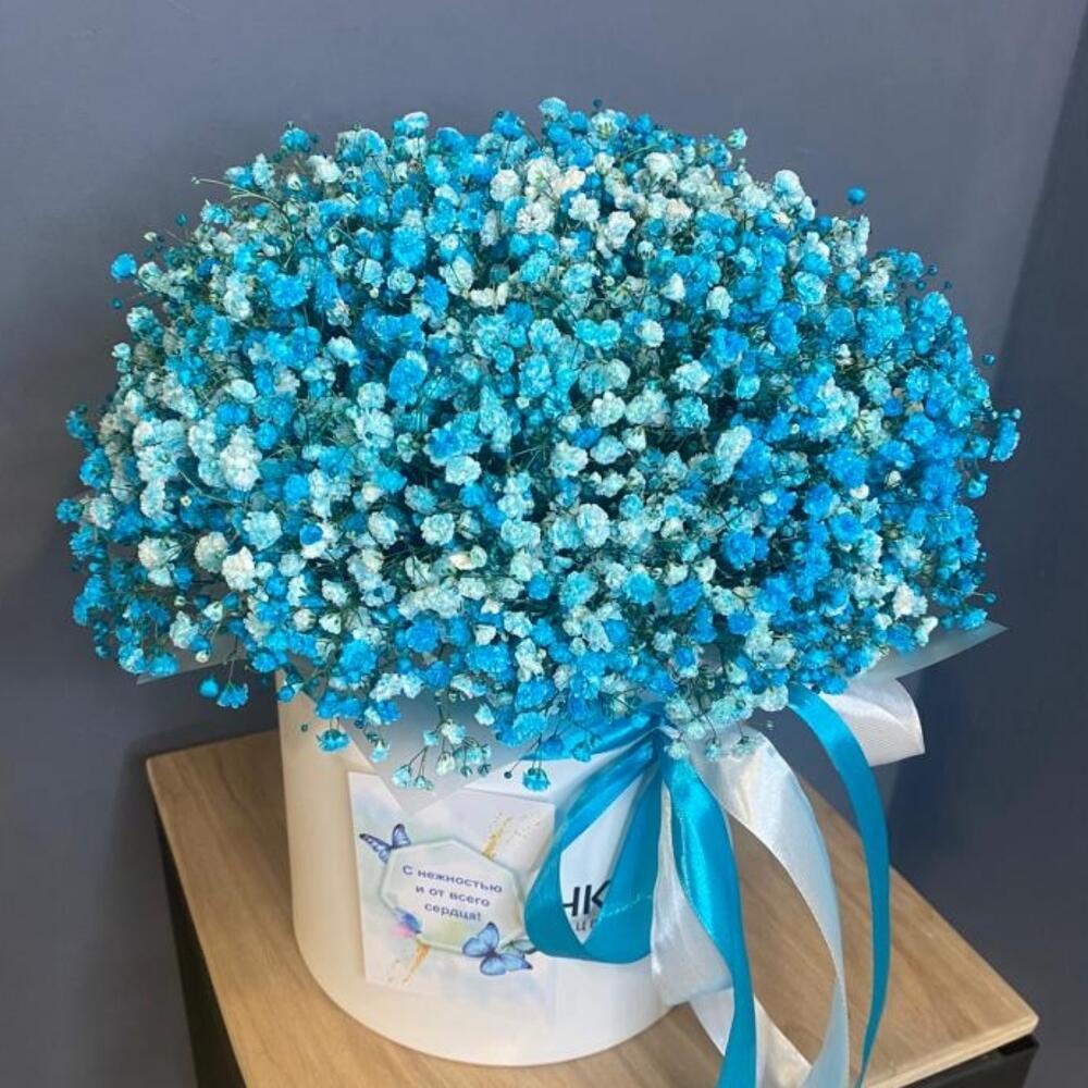 Голубая гипсофила в коробке