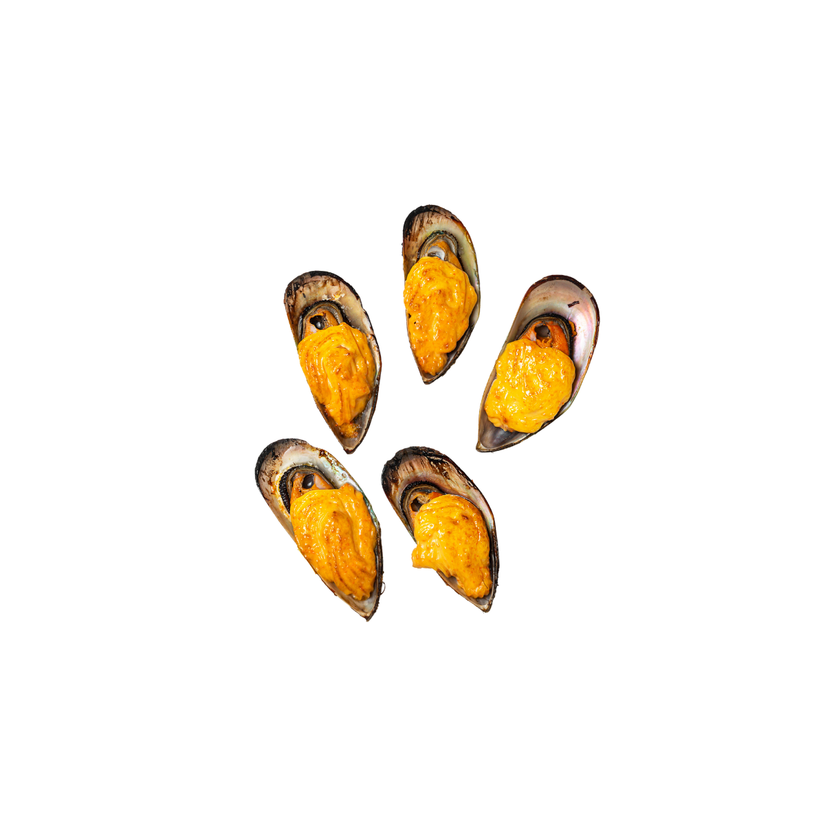 Мидии Спайси