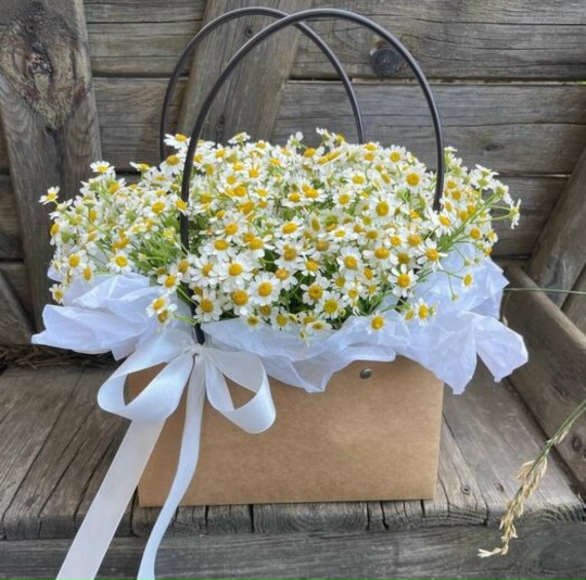 Миленькая сумочка с ромашками