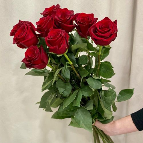 9 красных роз