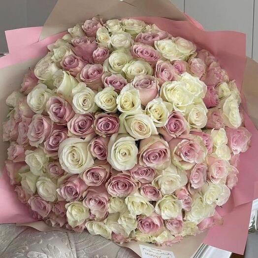 Букет из бело-розовых роз 101 шт