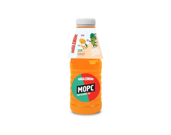 Морс Облепиха, апельсин, имбирь 0,5 л