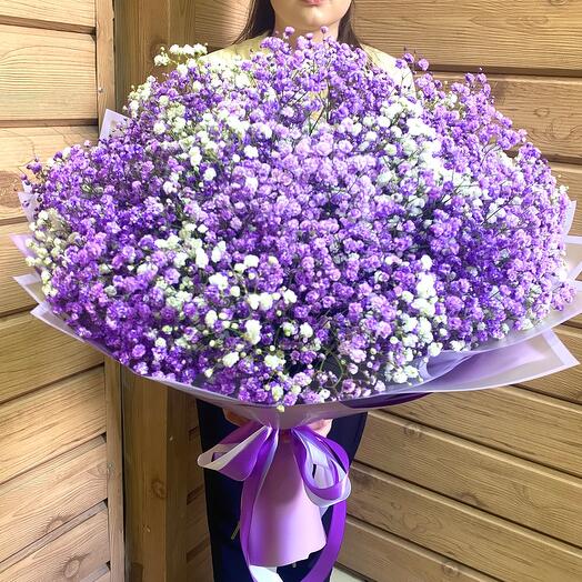 Букет из лиловой гипсофилы