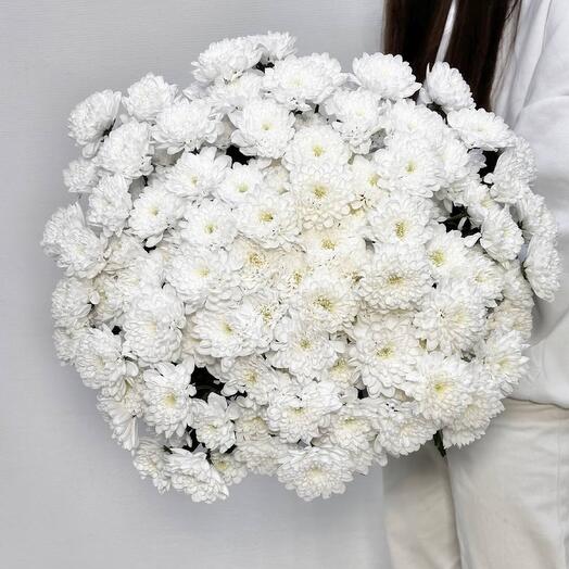 Букет "Она в восторге!" + секатор в подарок