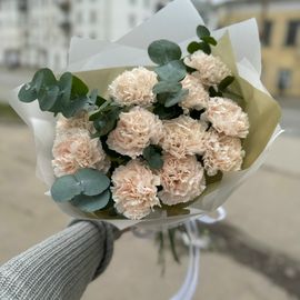 Диантусы сорта Брют с эвкалиптом