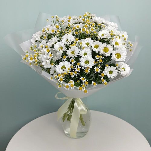 Кустовая хризантема с ромашкой