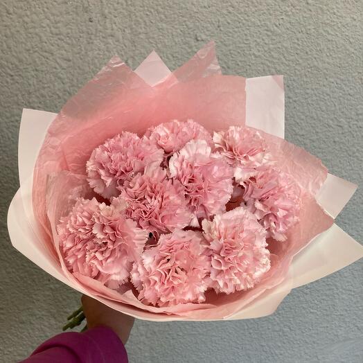 9 пудровых диантусов в упаковке