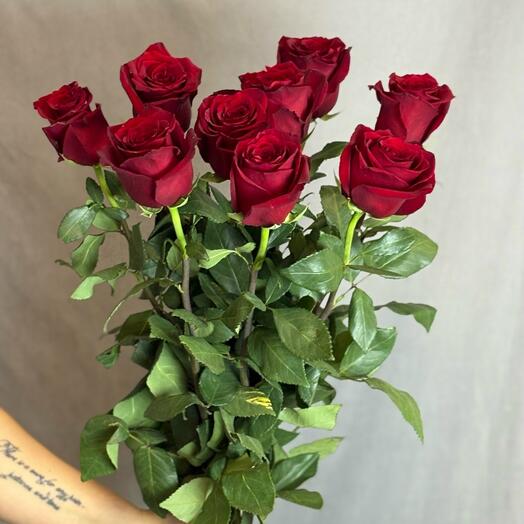 Роза экплорер 90см - 9шт 