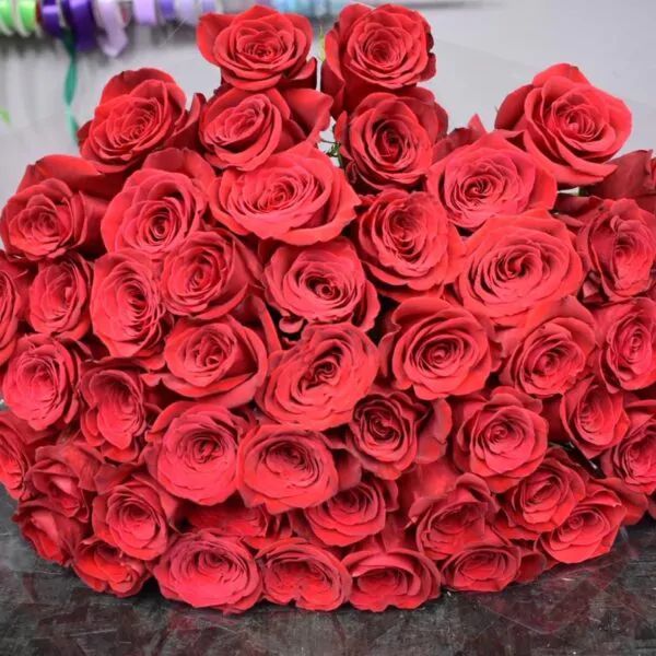 Букет из 55 ярко-красных роз на ленте