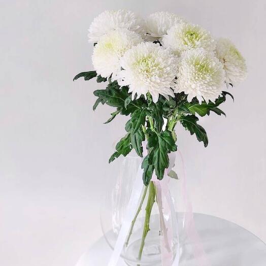 Букет из 7 одноголовых хризантем