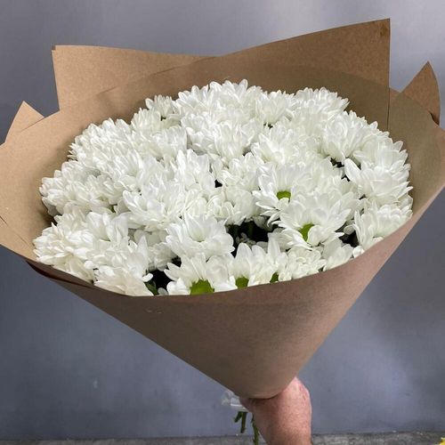 15 кустовых хризантем