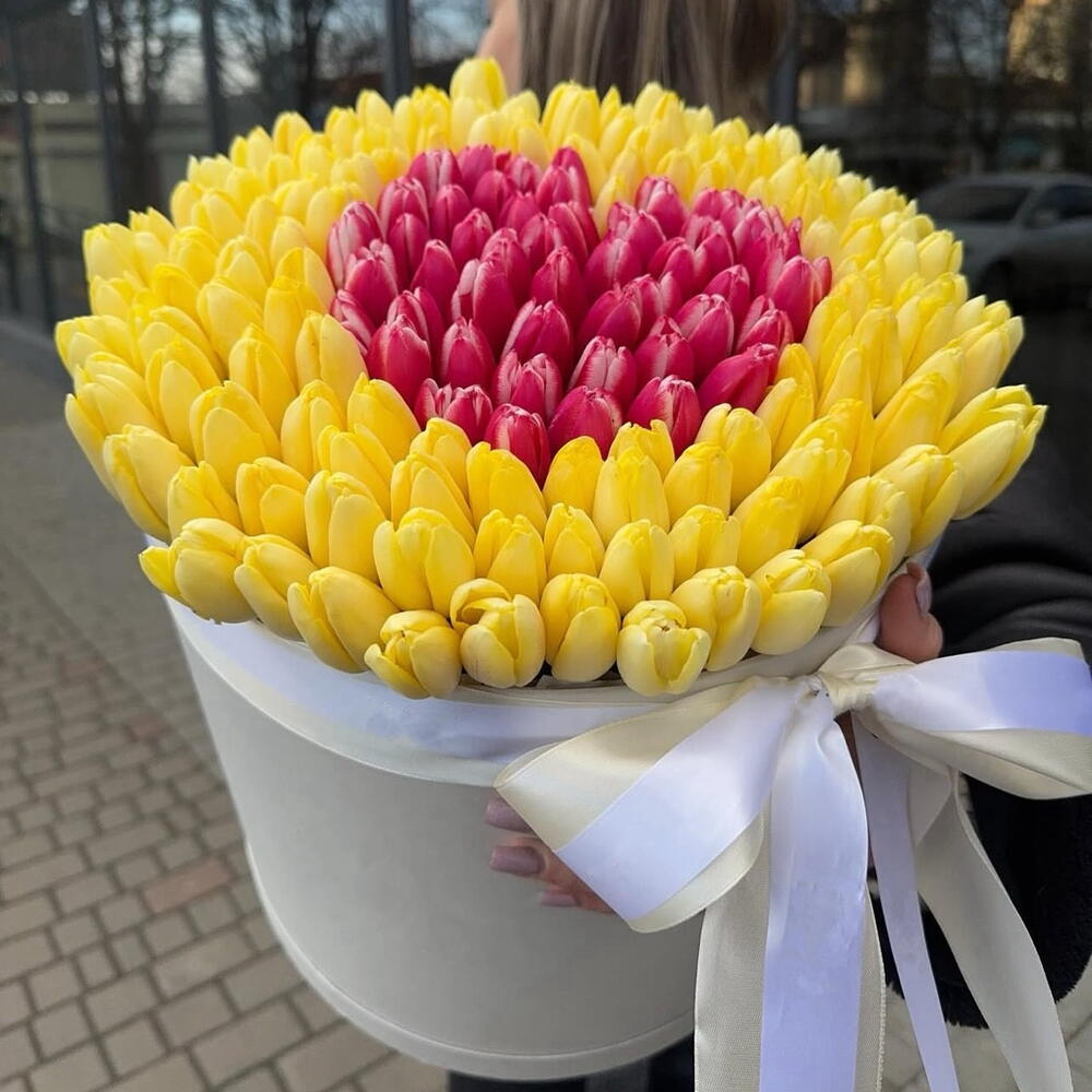 151 тюльпан сердце