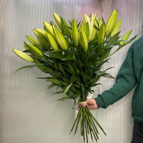 Большой и шикарный букет лилий