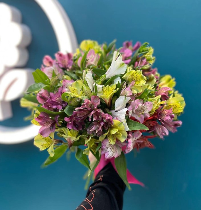 Альстромерии микс