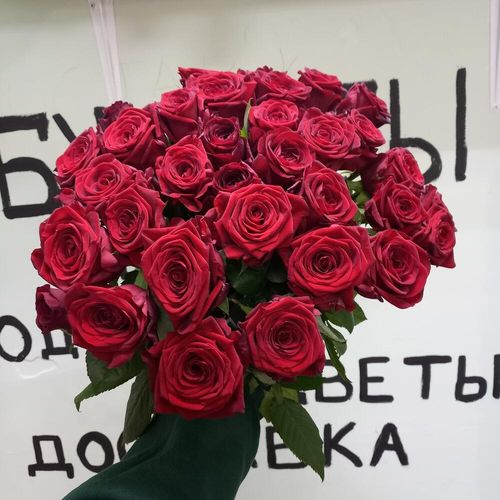 33 красные розы 50см