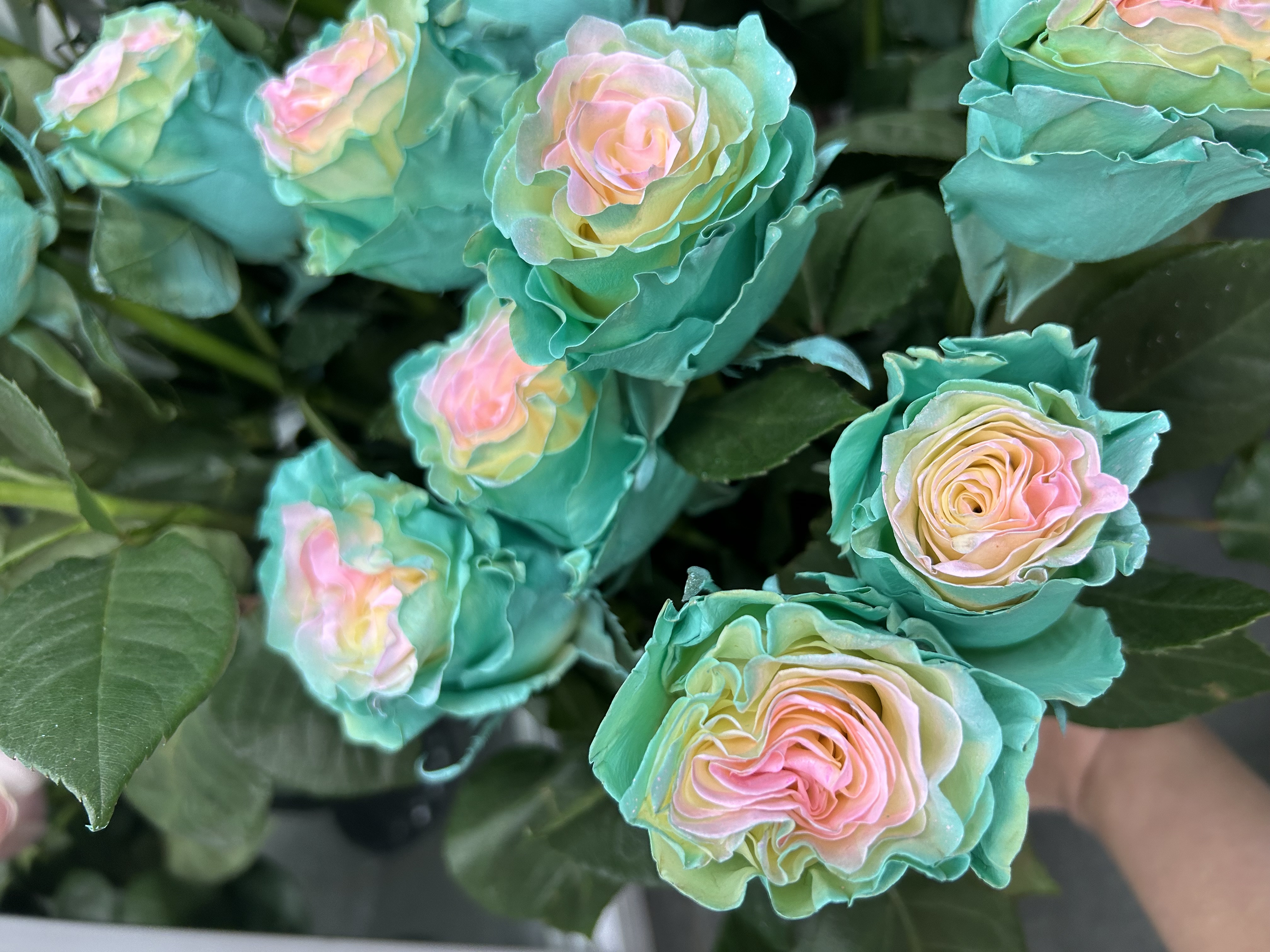 Букет «Градиент»