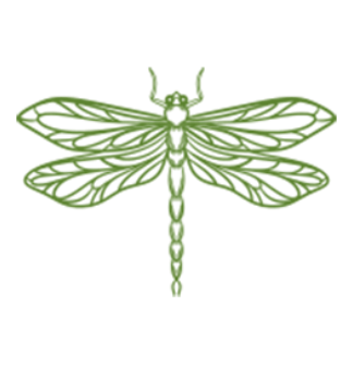 СУШИФЛАЙ - логотип