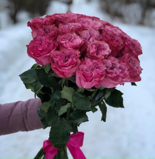 19 красивых пионовидных роз