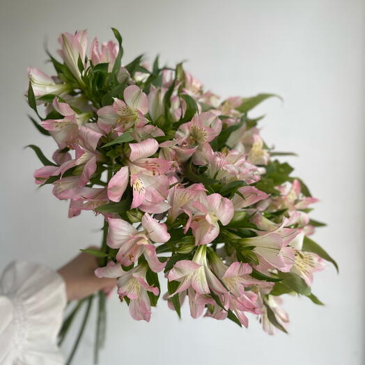 Розовые Альстромерии