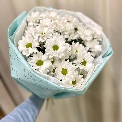 Букет из 5 белых ромашек (б1855)