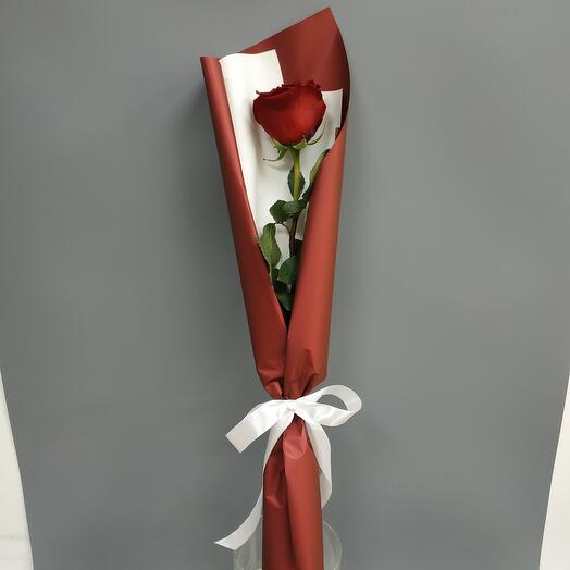 Роза в упаковке 
