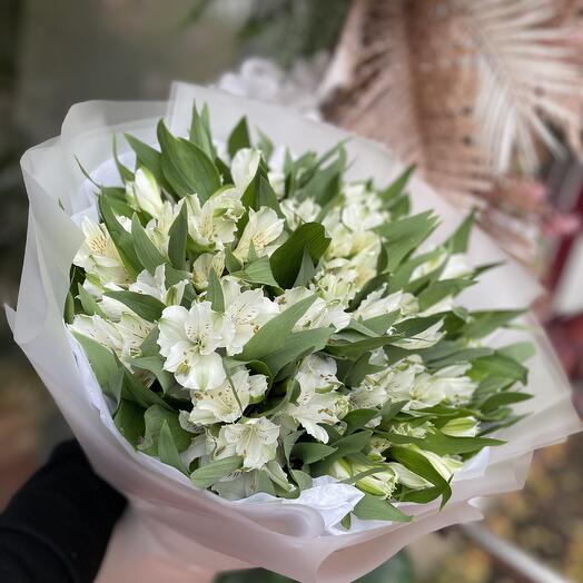Моно букет из стойкой альстромерии