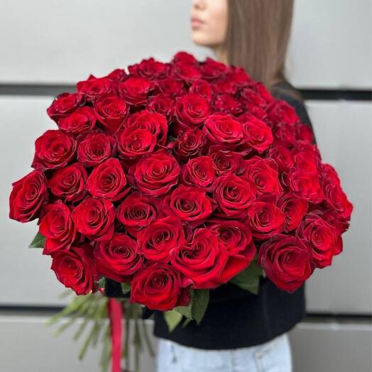 Голландские розы 51 красная большая Роза