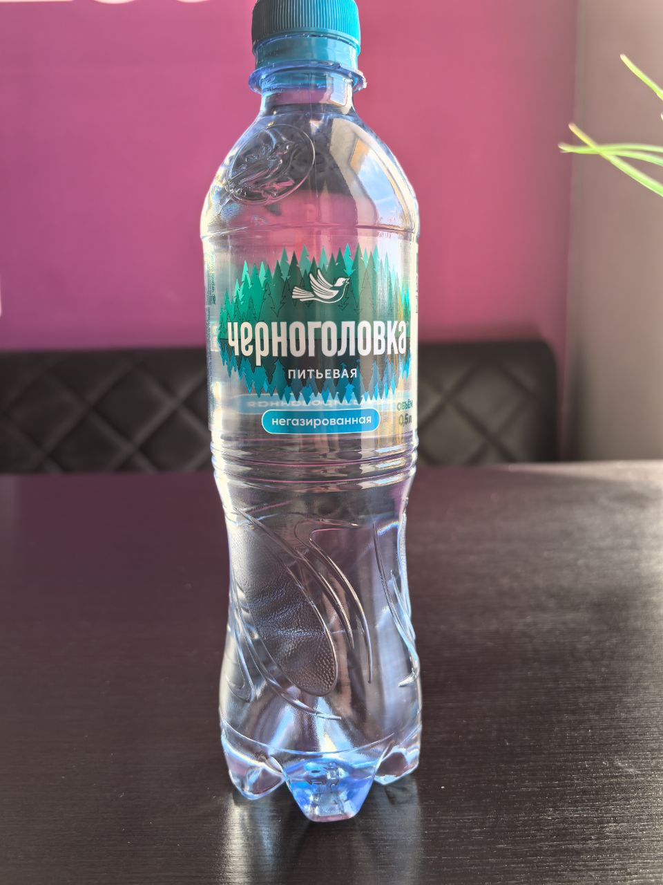 Вода 0,5 негаз