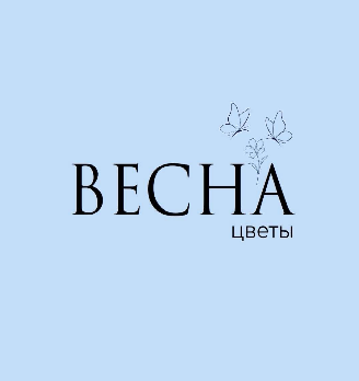 ВЕСНА - логотип