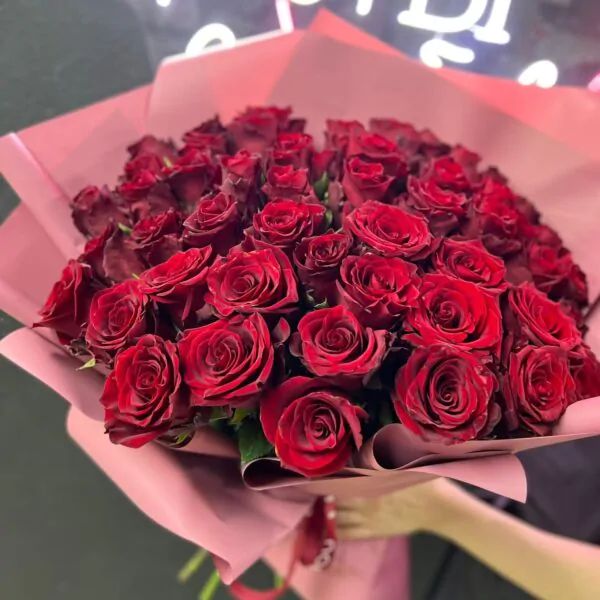 Букет из 51 бордовой розы 50 см в матовой бумаге