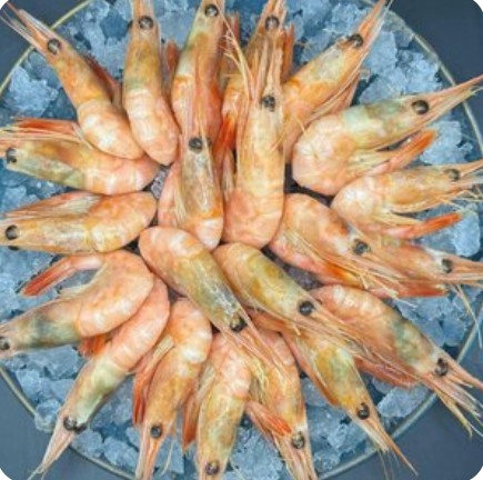 Креветки Сахалинские