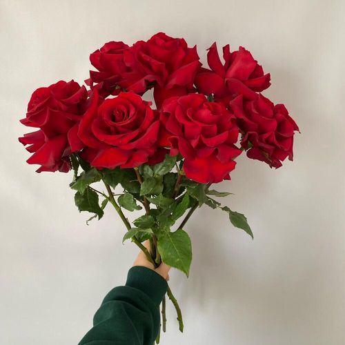 Букет из 7 французских роз