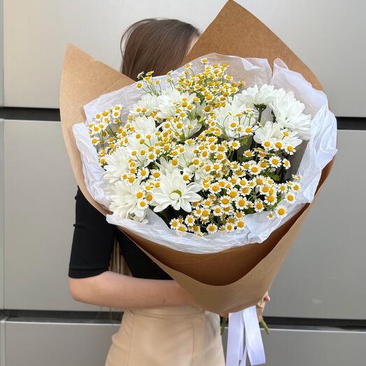 Хризантемы ромашки полевые