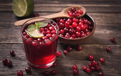 Морс из брусники 500 мл