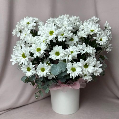 7 кустовых хризантем с эвкал в коробке