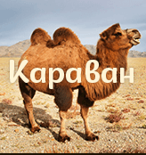 Бульон куриный с фрикадельками