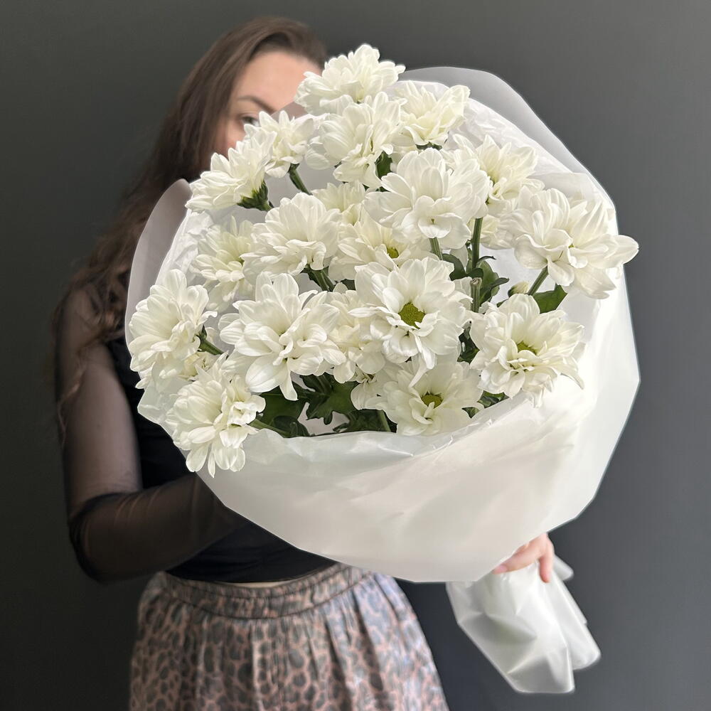 Поле ромашек S