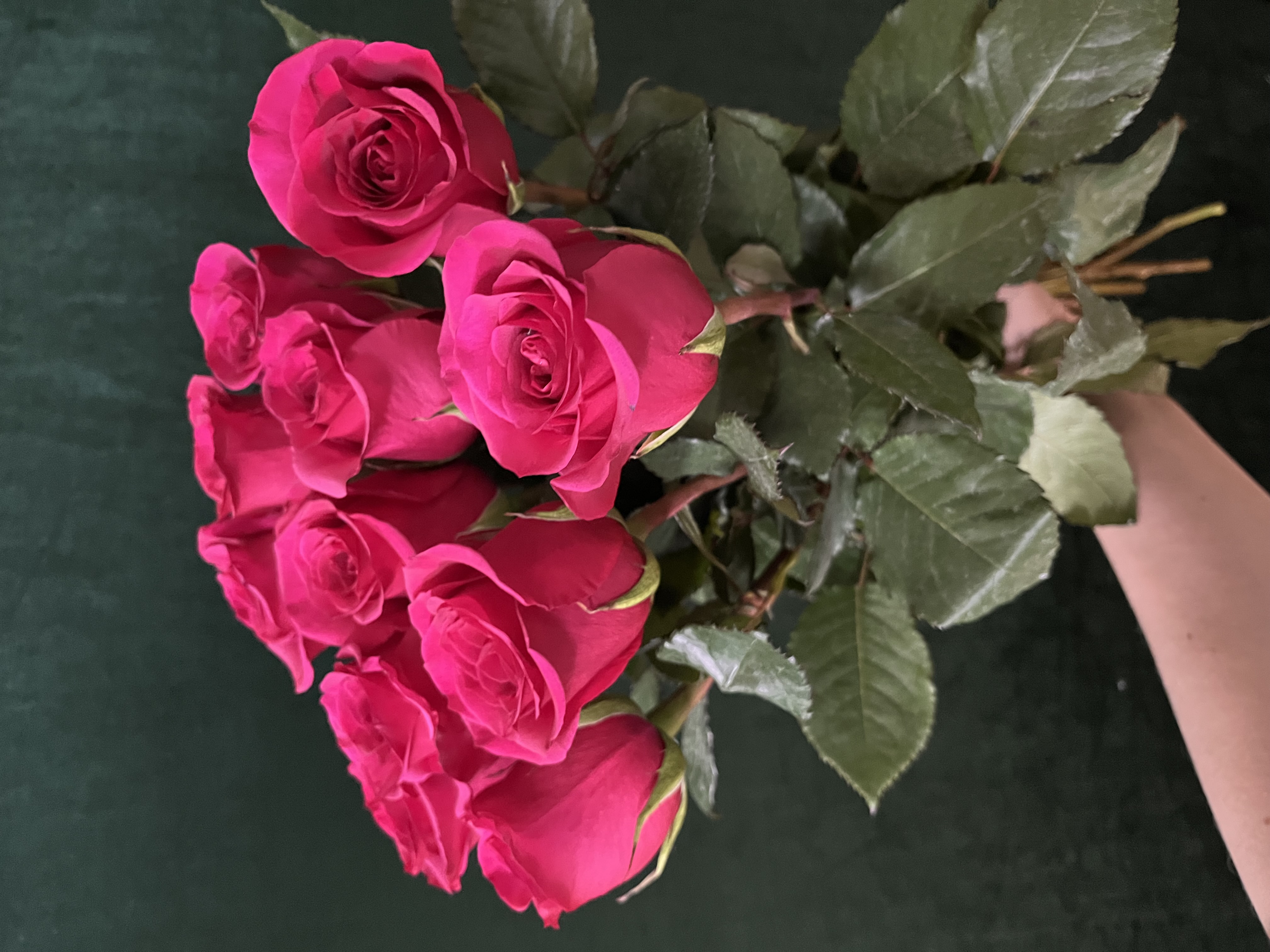 11 розовых роз на ленте 