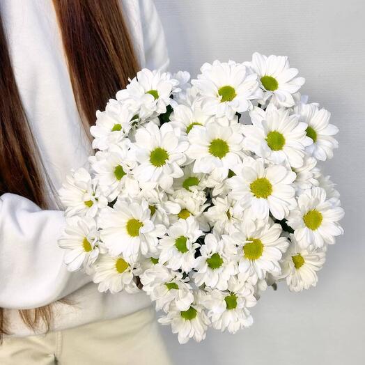 Букет из 5 ромашковидных хризантем
