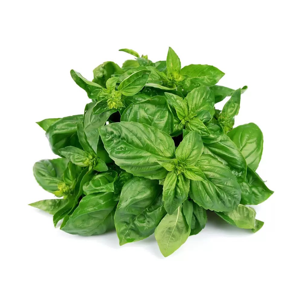 Базилик 5гр