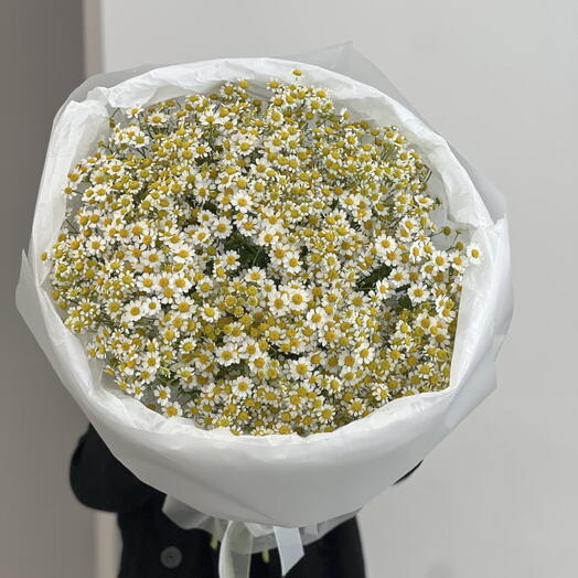 Букет из 31 кустовой ромашки