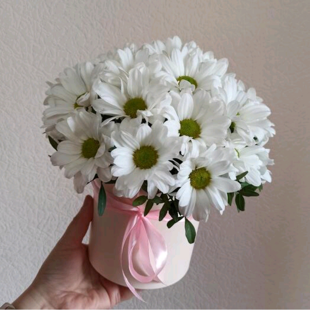 Коробочка S с ромашковыми хризантемами