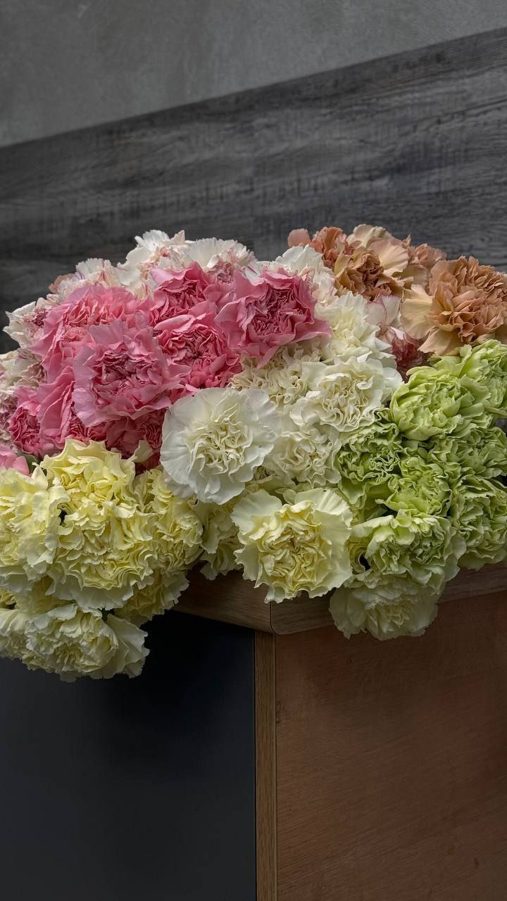 Диантус сортовой