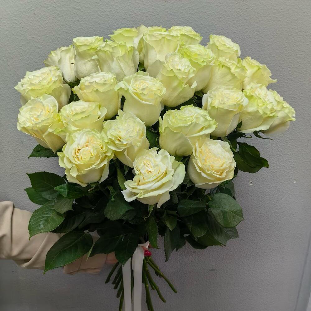Монобукет из 25 белых эквадорских роз для мамы (код 98)
