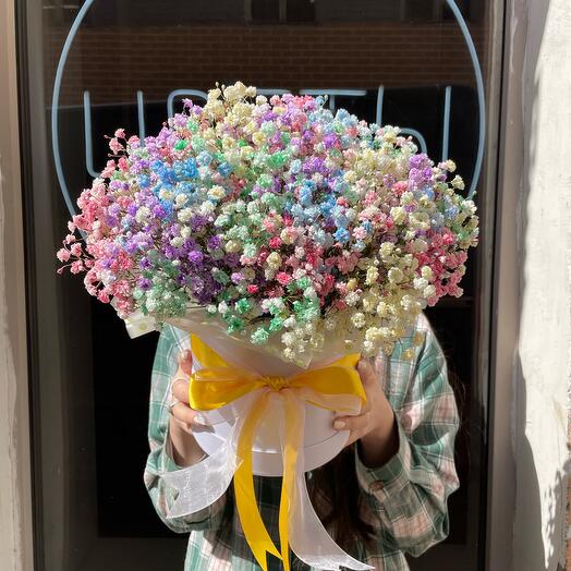 Яркая гипсофила