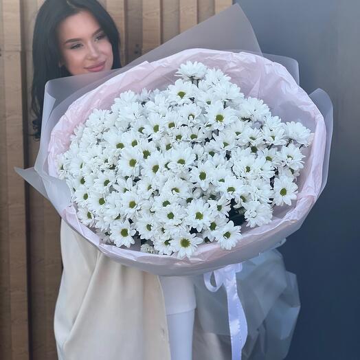 25 хризантем ромашек букет гигант