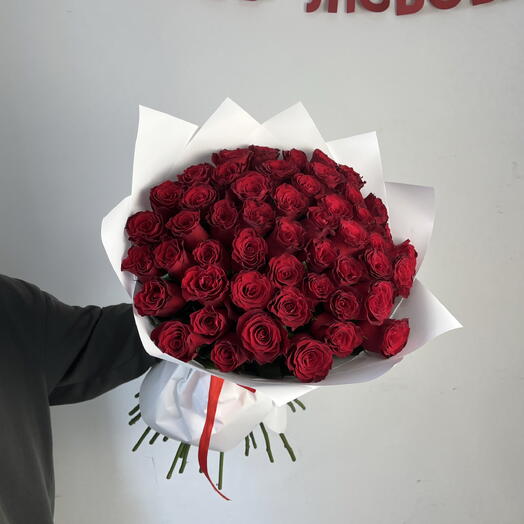 51 Роза Голландия