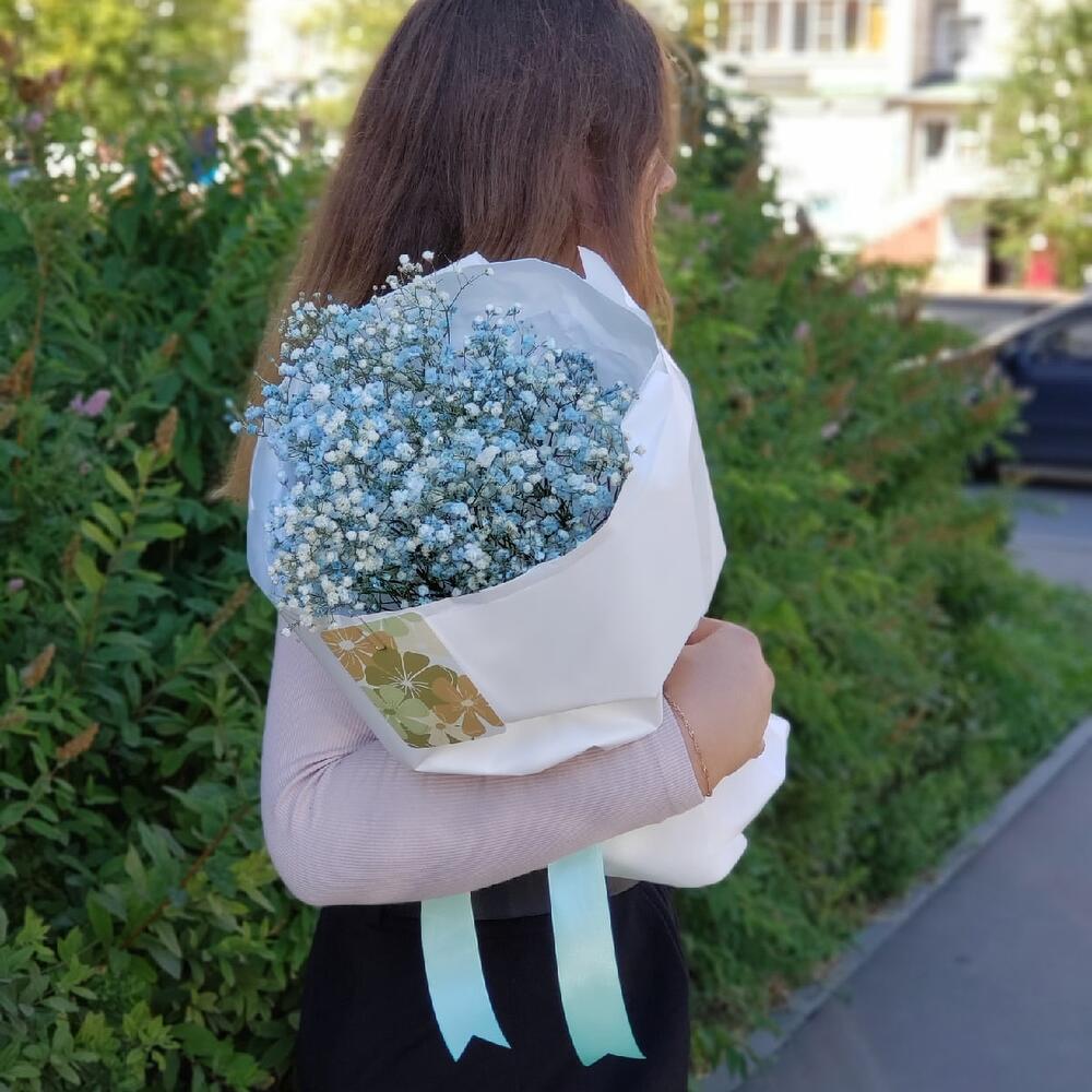 Бело-голубая гипсофила