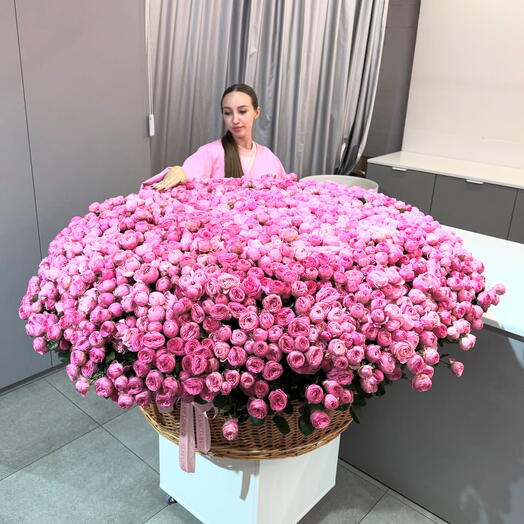 501 пионовидная кустовая Роза гигант